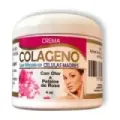 CREMA FACIAL COLAGENO CELULAS MADRE