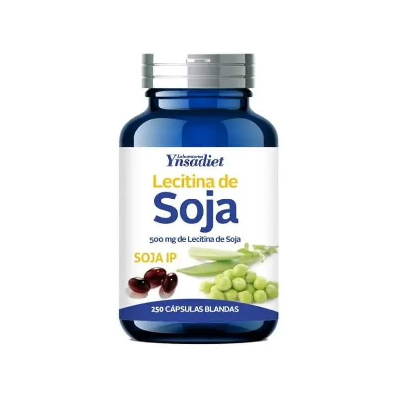 LECITINA SOJA 500 MG 250 PERLAS