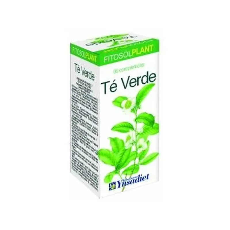 TE VERDE  80COMP