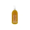 CHAMPÚ PLACER ALBARICOQUE 100ML