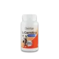 L- CARNITINA