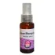 ROSA MOSQUETA ACEITE 100 ML. BIO