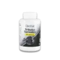 TRIBULUS TERRESTRIS 90 CAPS