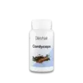 CORDYCEPS MICELIO 60 CAPS