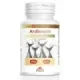 ARDINORM CARDINORM  60PERLAS