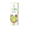 EXTRACTO GINKGO BILOBA Envase de 50 ml.