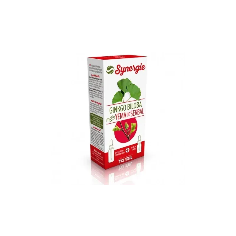 EXT. GINKGO BILOBA YEMASERBAL