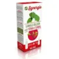 EXT. GINKGO BILOBA YEMASERBAL