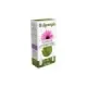 EXT. ECHINACEA YEMA ROBLE