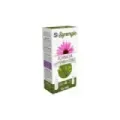 EXT. ECHINACEA YEMA ROBLE