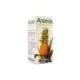 ANANAS 90CAP  YNSADIET