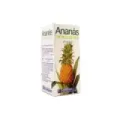 ANANAS 90CAP  YNSADIET