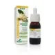 COMPOSOR 3 - BOLDO COMPLEX S. XXI