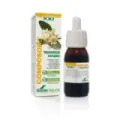 COMPOSOR 3 - BOLDO COMPLEX S. XXI