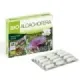 BIOALCACHOFERA 30 CAPSULAS