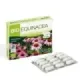BIOEQUINACEA 30 CAPSULAS