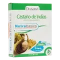 CASTAÑO INDIAS60CAP