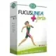 FUCUS LINEA FORTE 45TAB