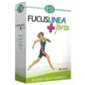 FUCUS LINEA FORTE 45TAB