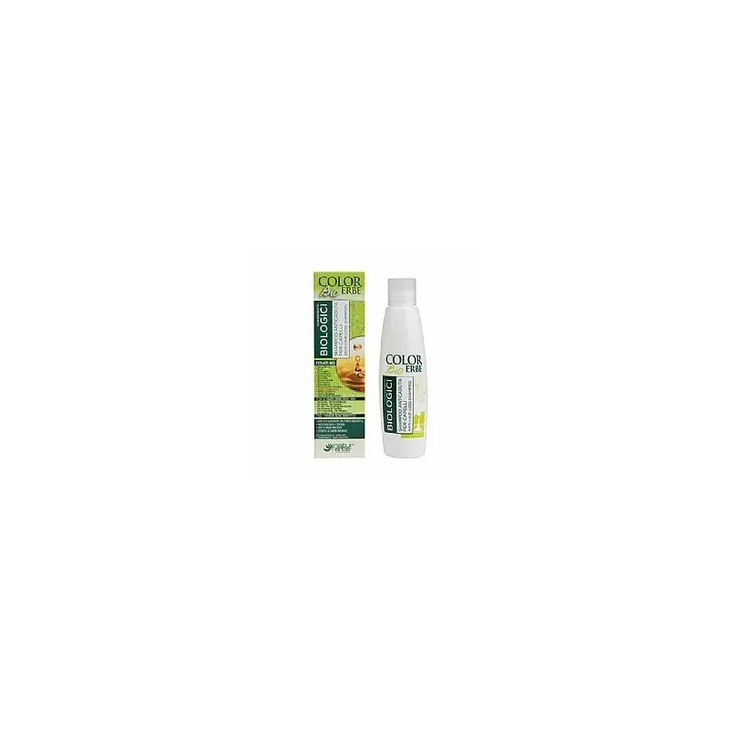 CHAMPU CABELLO GRASO EXTRACTO BIO 2