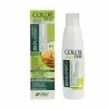 CHAMPU CABELLO GRASO EXTRACTO BIO 2