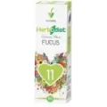 EXTRACTO FUCUS Envase de 50 ml.