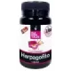 HARPAGOFITO Envase de 30 cápsulas vegetales.