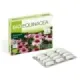 BIOEQUINACEA 30 CAPSULAS