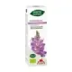 PHYTO DESMODIUM 50ML