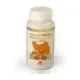 PIPAS CALABAZA 50CAP