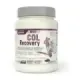 COL RECOVERY BOTE (SPORTS) 840 GR