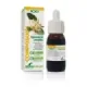 COMPOSOR 3 - BOLDO COMPLEX S. XXI