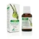 ESENCIA DE ROMERO