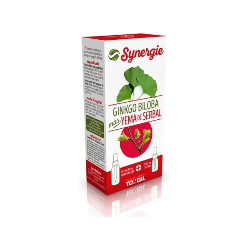 EXT. GINKGO BILOBA YEMASERBAL