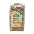 PIPAS DE GIRASOL 500G