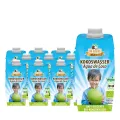 CAJA 15 UDS AGUA DE COCO BIO 330 ML