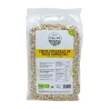 COPOS DE TRIGO SARRACENO  500 G
