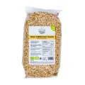 TRIGO SARRACENO 500 G