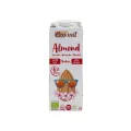 CAJA 6 UDS ALMENDRA NATURAL SIN AZÚCAR BIO 1 L