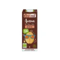 CAJA 6 UDS AVENA CACAO SIN AZÚCARES AÑADIDOS BIO 1
