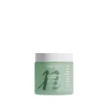 PASTA DE DIENTES  SABOR MENTA 100ML NUEVO