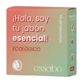 ESSABO ECO ESENCIAL HIERBABUENA 120 G