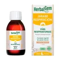 JARABE RESPIRACIÓN EXPECTORANTE BIO 150ML