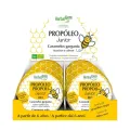 EXPO. CARAMELOS PROPÓLEO JUNIOR BIO 45 12UND