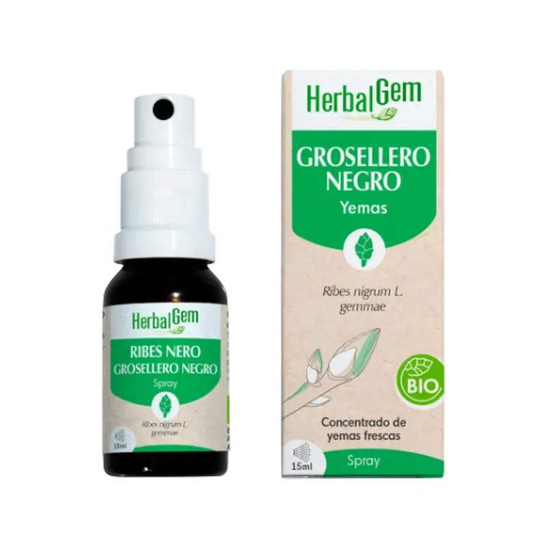 GROSELLERO NEGRO BIO SPRAY 15ML YEMOUNITARIOS