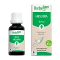 HIGUERA BIO 30 ML