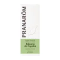 BALSAMO DE COPAIBA 10ML ACEITES ESENCIALES NATURALES