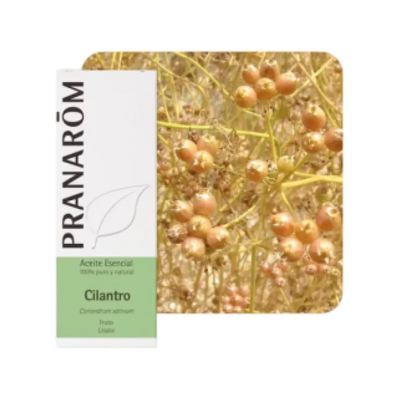 CILANTRO  10 ML ACEITES ESENCIALES NATURALES