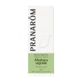 ALBAHACA SAGRADA 5 ML ACEITES ESENCIALES