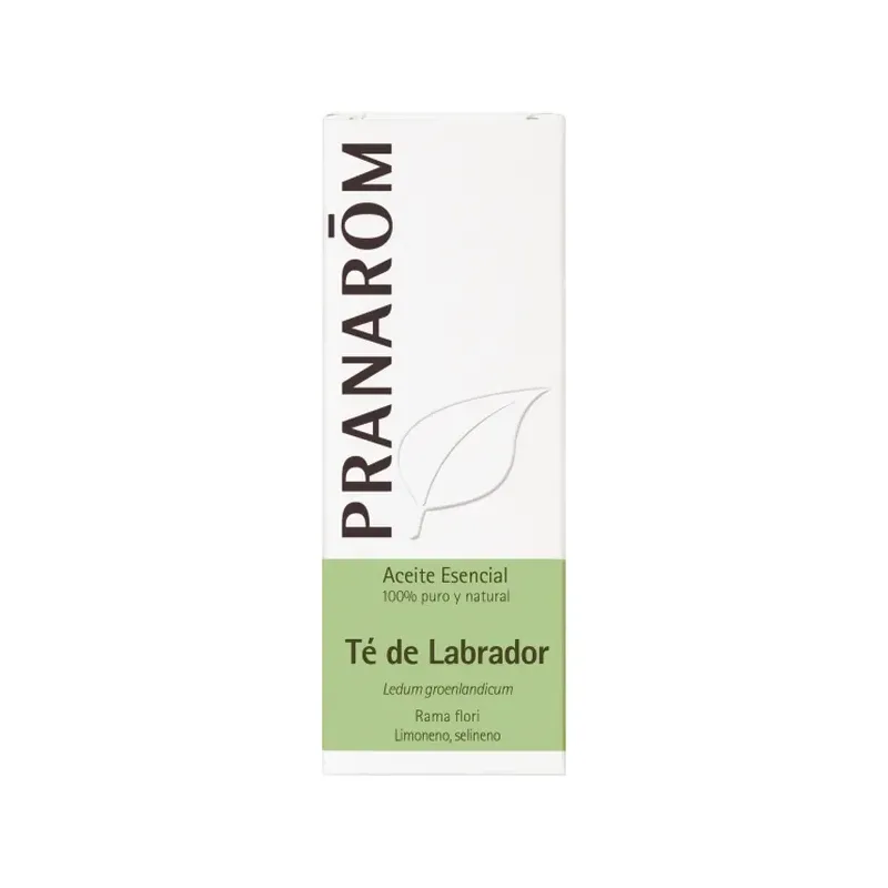 TÉ DE LABRADOR 5 ML ACEITES NATURALES